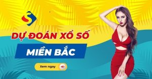 Dự đoán kết quả 29/12